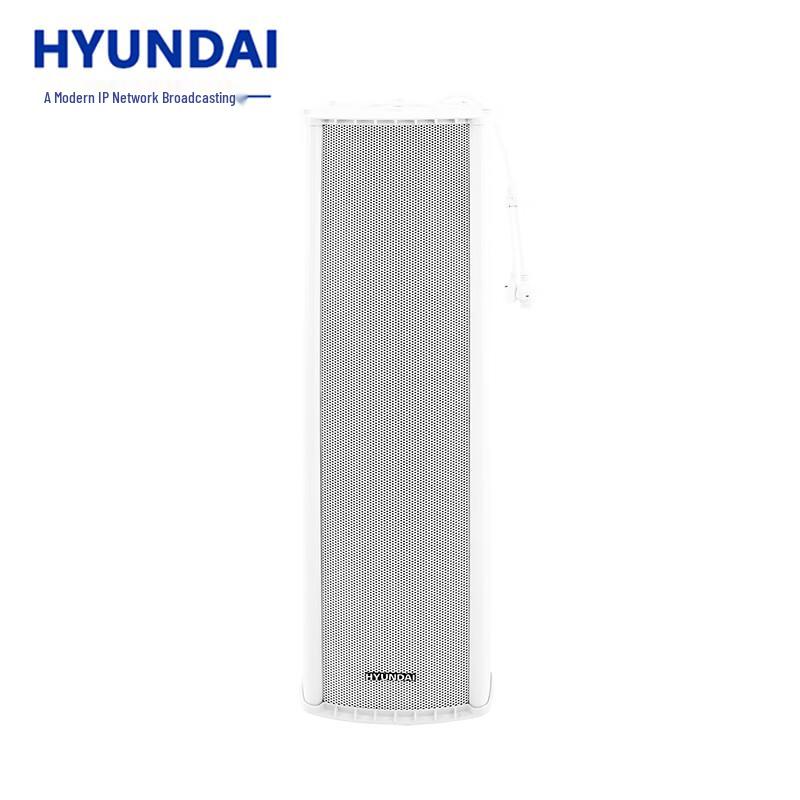 Hyundai IP Network Broadcasting Audio Systems CN plug (adapter included) (CN version)