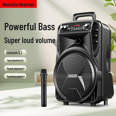 Портативная Bluetooth-колонка для караоке Newman N509, штепсель CN (адаптер в комплекте)