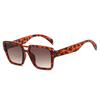 Vintage Double Beam Sunglasses Luxury Designer Colored Lenses Sun Shade Glasses for Women Fashion UV400 Brand Sun Glasses