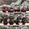 Red Sandalwood Zodiac Animals Handheld Sculptures - Scenic Spot Handicrafts