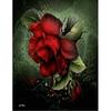 5D Алмазная картина Красная роза и бабочка Украшение дома Полная круглая вышивка