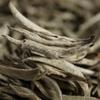 2024 Premium Yunnan Pu'er Raw Baihao Yinzhen White Tea Loose Leaf 500g