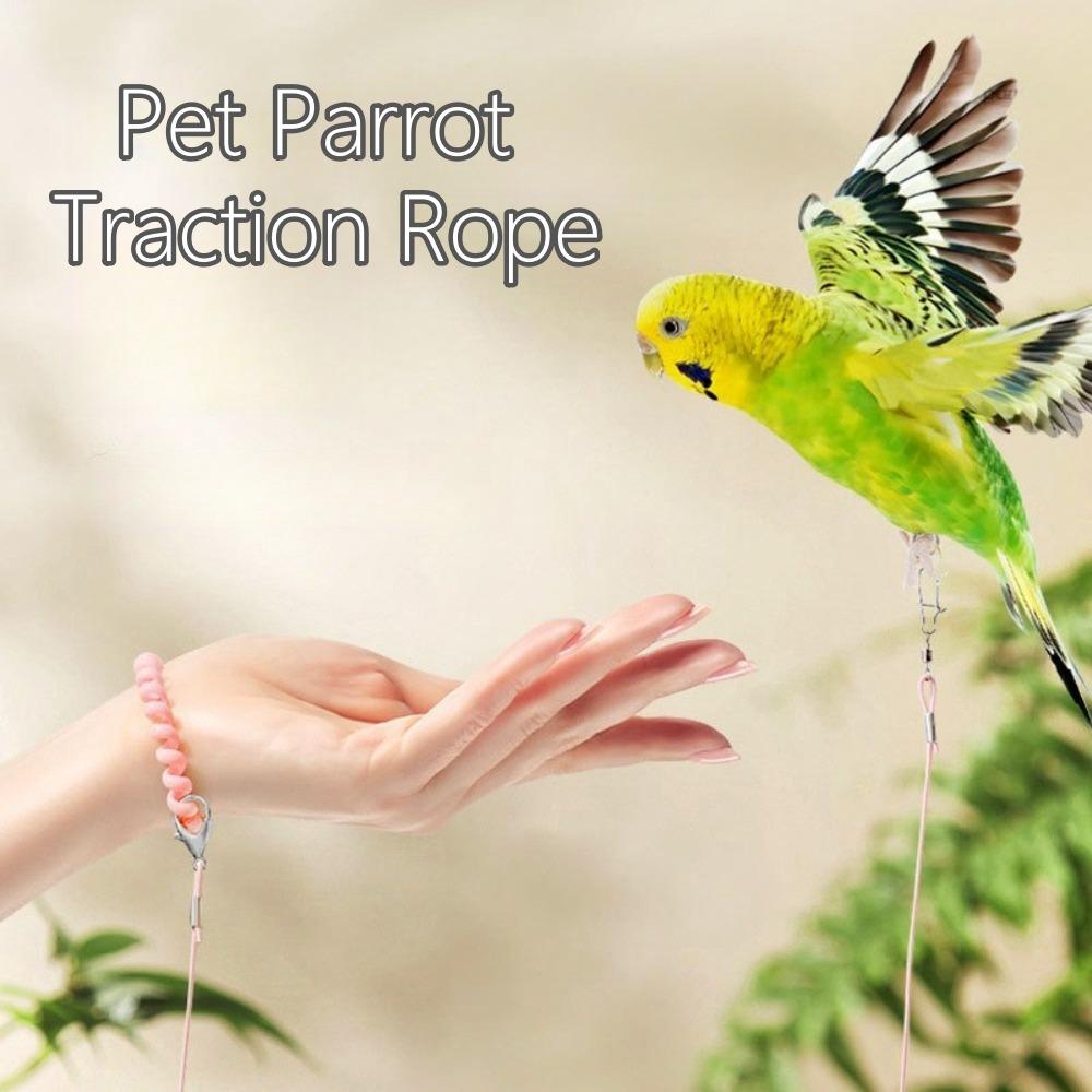 Металлическая пряжка Поводок для дрессировки попугаев Противополетная ножная цепь для птиц Поводок для выгула попугаев для птиц