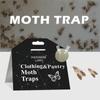 Moth Catching House Moth Trap Moth Trap Moth Catching House Moth House