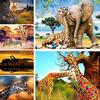 5d Diamond Painting Giraffe Animal Full Square Round Diy Diamand Painting Prairie Scenery Picture