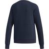 Adidas Neo W Artist Sweat Comfortable Pullover Long Sleeve Sweatshirt Women Sweatshirt Legendary-Ink-Blue DW7763