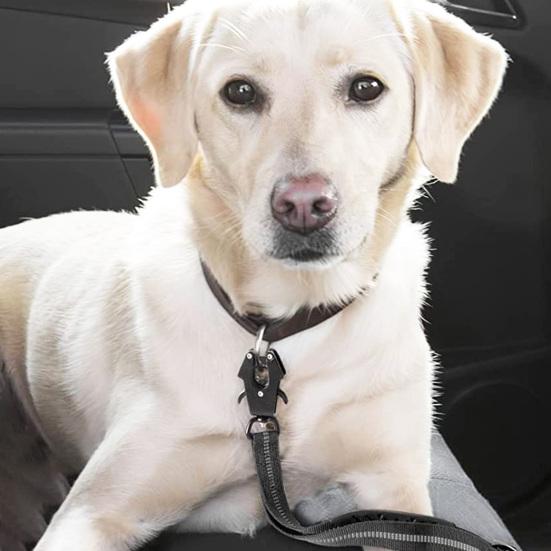 Frog Clip Carabiner Heavy Duty Quick Release Outdoor Camping Buckle 360 Degree Swivel Linking Dog Leash Pet Collar Metal Clasp