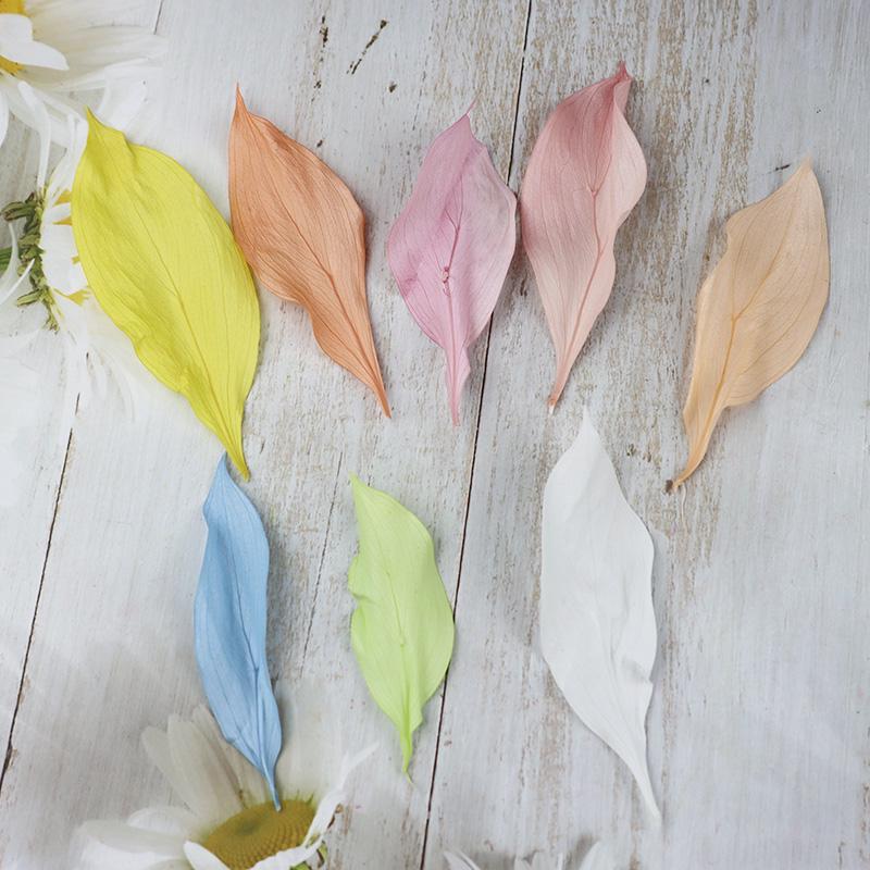 DIY Floral Art Ornament: Preserved Tangerine & Fishtail Leaf, Lily, Bamboo Dried Flowers – Ikebana Photo Prop for Home Décor.