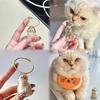 5Pcs Cat Hair Storage Bottle Cat Hair Keepsake Keychain Transparent Pet Memorial Locket for Storing Fur Thoughtful Gift for Grieving Cat Owners