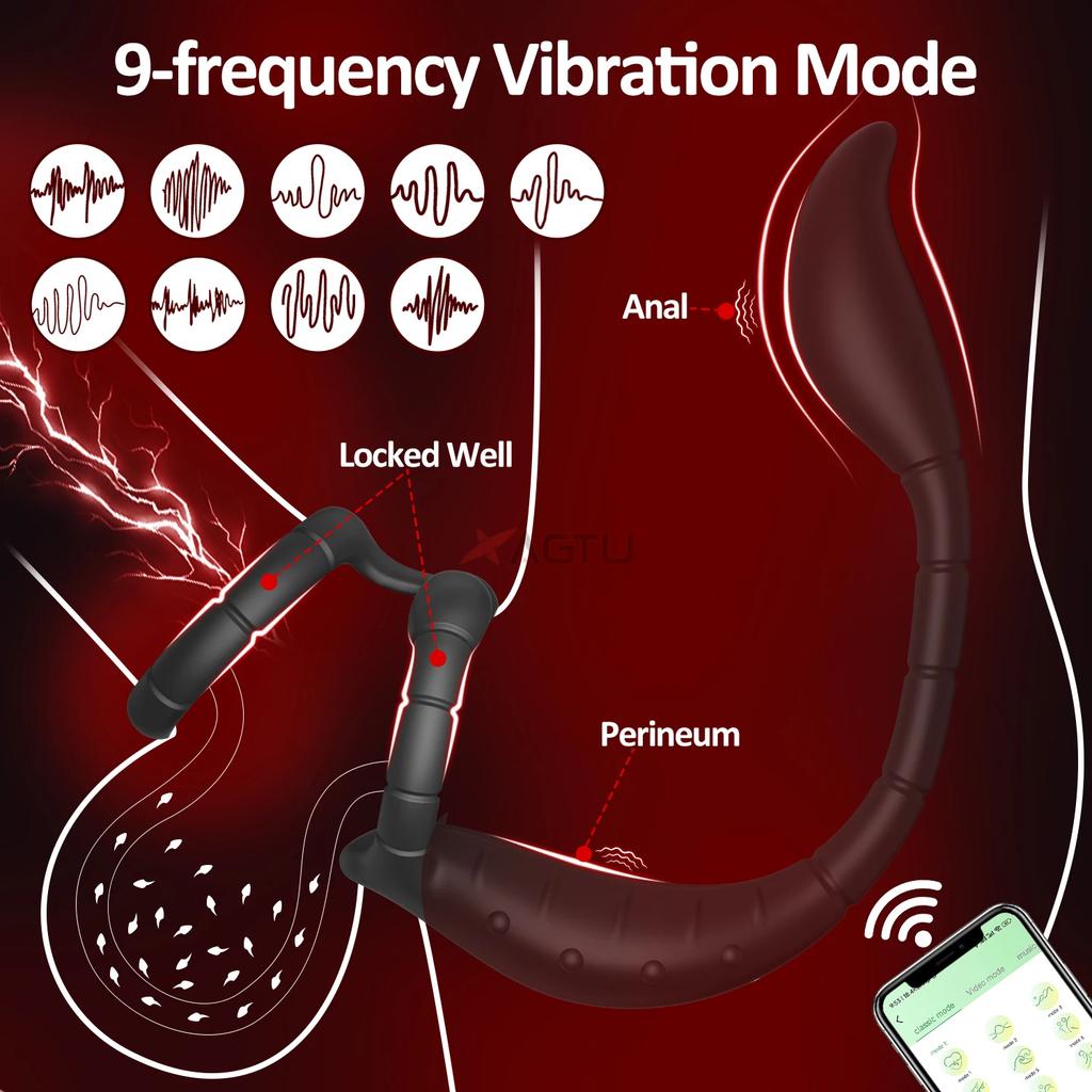 Cock Ring Prostate Vibrator for Male Double Ring Anal Plug Vibrating Delay Ejaculation Male Masturbator Sex Toys for Men 18+