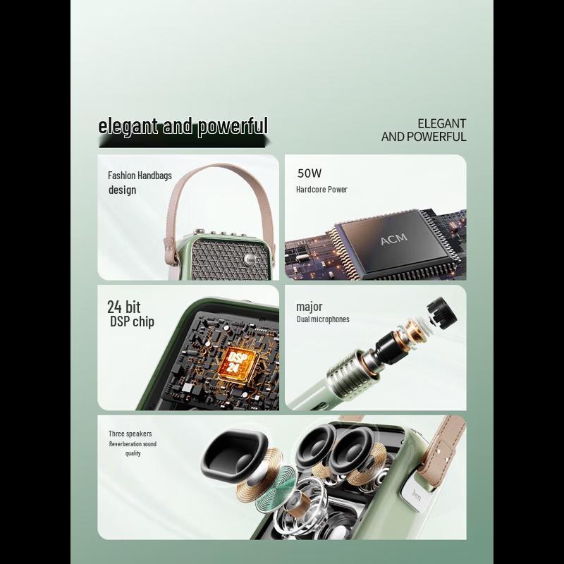 Портативная Bluetooth-колонка Divoom для караоке с двумя микрофонами (Китайская версия)
