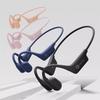 Sanag A30SPro & A30 Air/Bone Conduction Sport Headphones