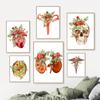 Flower Brain Heart Skull Organ Anatomy Wall Art Canvas Painting Medical Posters and Prints for Doctors Offices Hospitals Decor