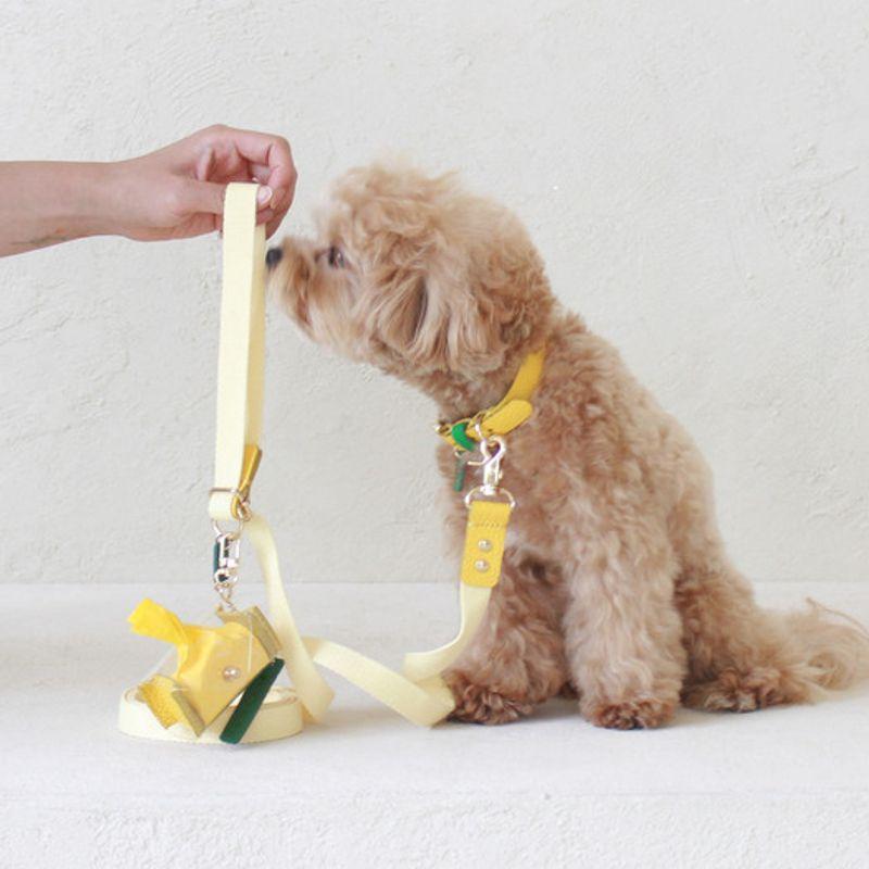 MAISON DE MIU Персональный Цветной Поводок Желтый