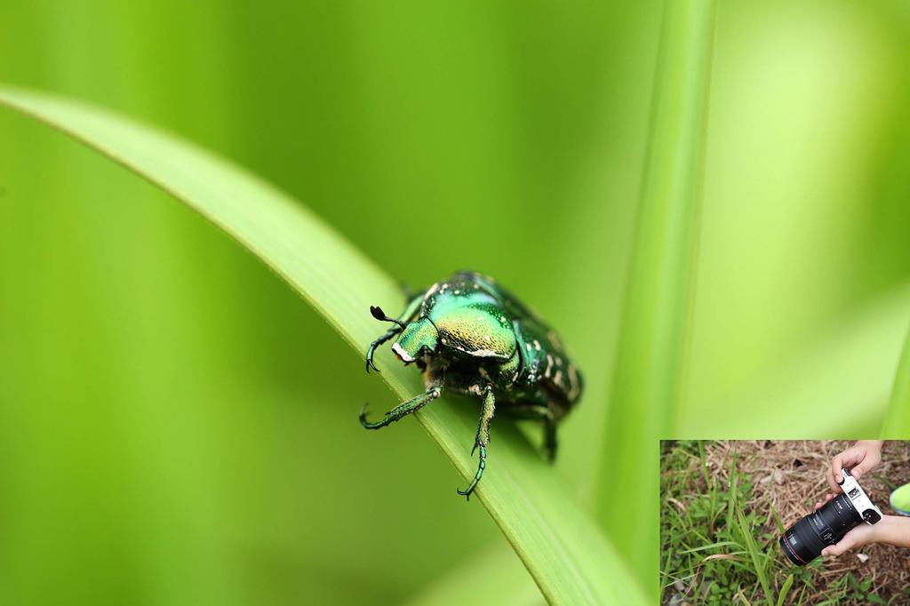 Адаптер для крепления объектива VILTROX, кольцо автофокусировки Canon EOS M Mount, регулируемая диафрагма, объектив Canon для Canon EOS Kiss M2 Kiss M M3 M5 M6 M6 Mark II M10 M50