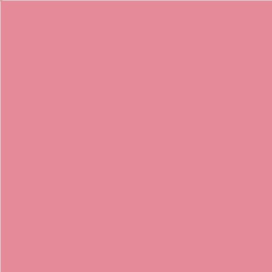 Estee Lauder Губная помада Pure Color 5 цветов