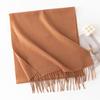 New Solid Color Maillard Imitation Cashmere Scarf for Women Autumn and Winter High End Warm Shawl Simple Scarf