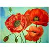 Полный 5D Diy Алмазная картина Красный цветок картина Вышивка крестиком Домашний декор Ручной подарок Подарок