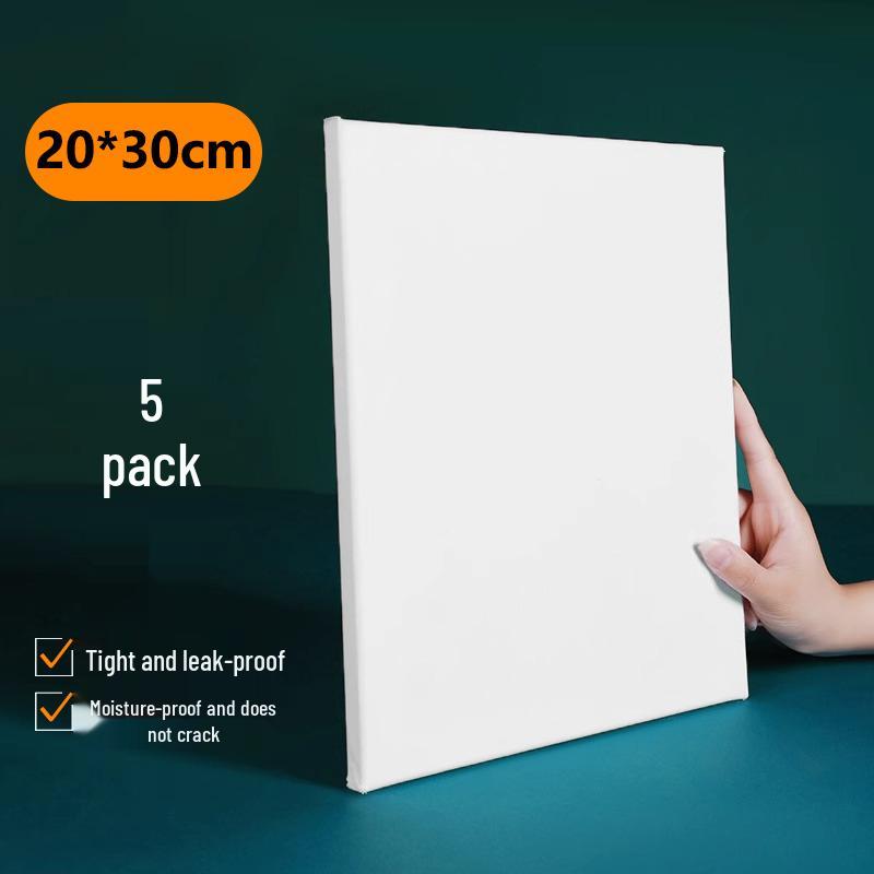 5-Piece Acrylic Oil Painting Set: Blank Cotton & Linen Canvas Panels with Large Frame