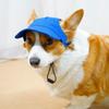 with Ear Holes Dog Baseball Cap Sun Protection Dog Sunscreen Hat Dog Sun Hat  Outdoor Sports