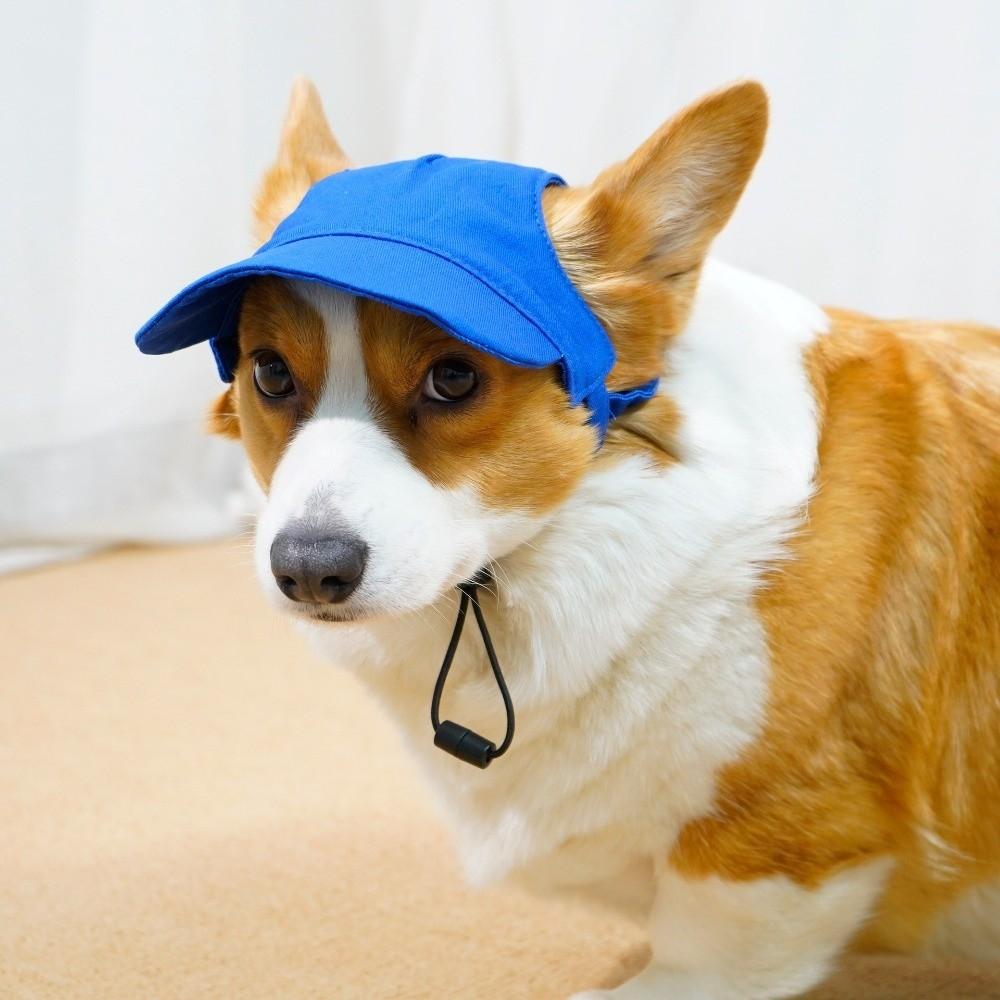 with Ear Holes Dog Baseball Cap Sun Protection Dog Sunscreen Hat Dog Sun Hat Outdoor Sports
