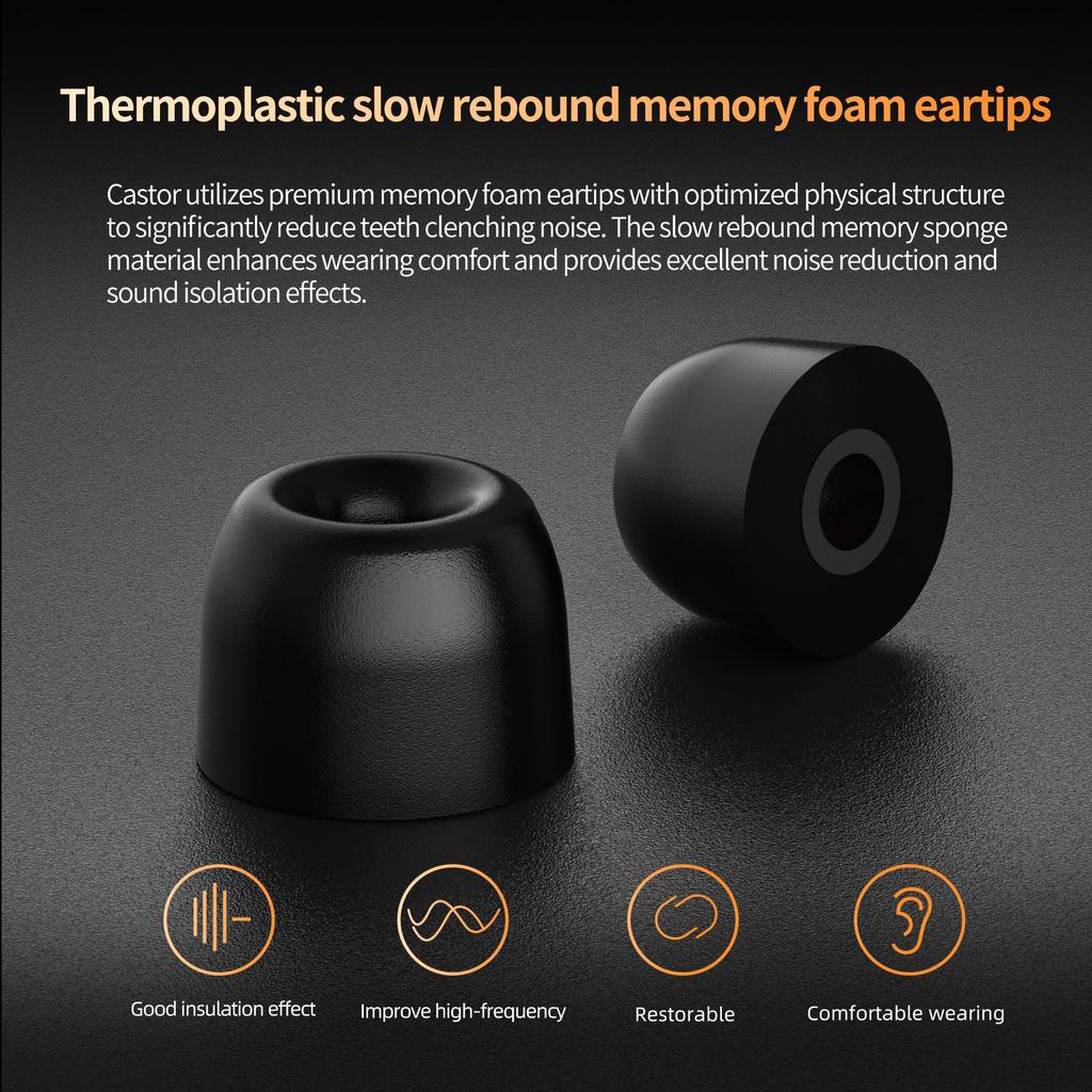 KZ Castor KZ Earphones Wired Monitor Earphones Dual Dynamic Driver Canal Earphones for Musicians and Singers 2DD Tuning Switch Frequency Reinforcement