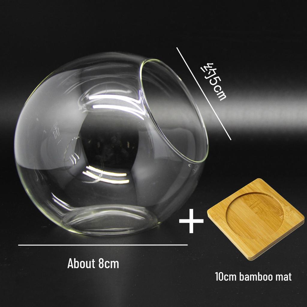 Круглая стеклянная ваза с косым горлышком для суккулентов и микроландшафтов