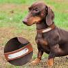 2025 New Hot SaleCarved Dog Collar ID Tag Anti-lost Solid PU Leather For Small Medium Large Dogs Puppy Cat Pet Supplies