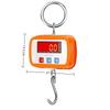 High-Precision Digital Crane Scale Mini Hook Scale Portable Hanging Scale  Industrial Household