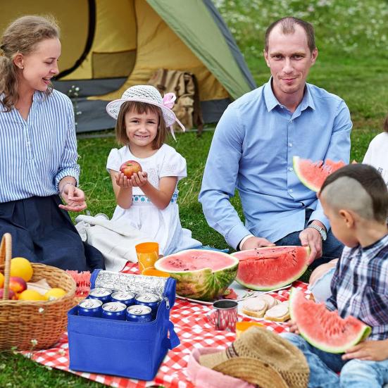 Термосумка для ланча, портативная термосумка, большая вместимость, складная, легкая, сумка-холодильник, принадлежности для кемпинга