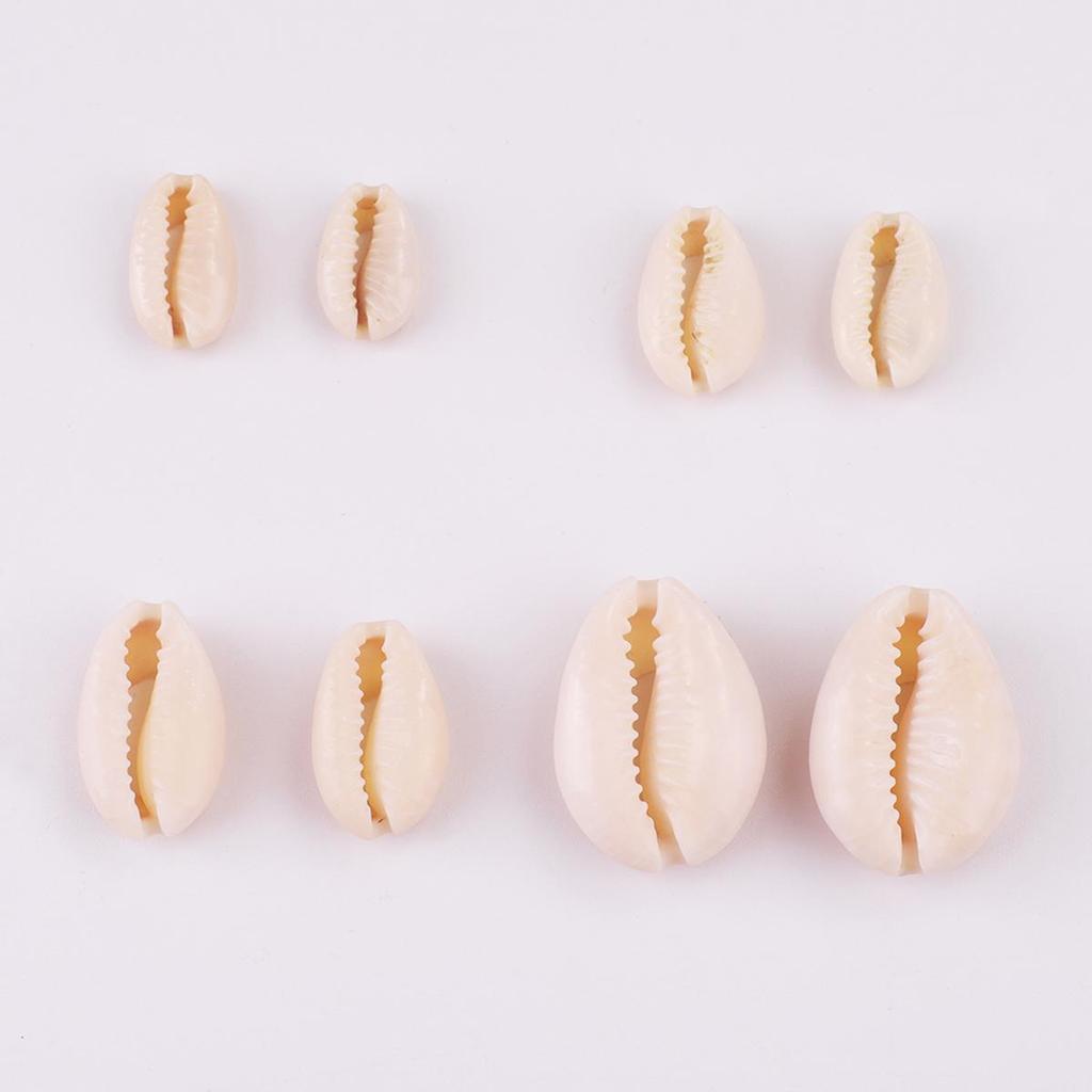 20 шт. натуральный цвет бусины-ракушки для украшения дома DIY серьги браслет аксессуары для изготовления ювелирных изделий