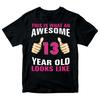 Birthday Gift T-Shirt Awesome 13 Year Old Looks Like Girl Tee