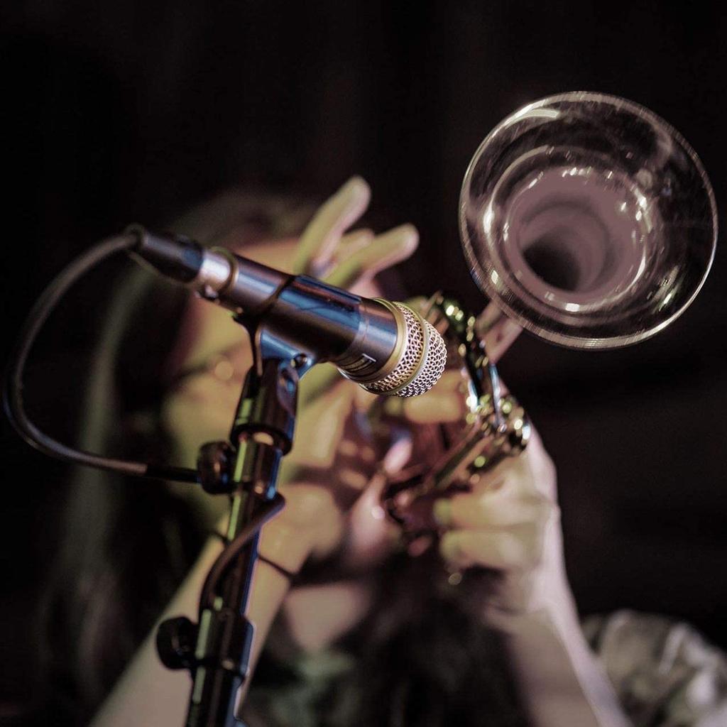 Dynamic Microphone BETA57A []SHURE