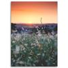 Canvas Print, Meadow and Sunset