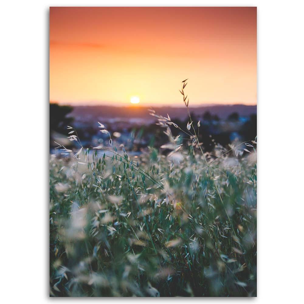Canvas Print, Meadow and Sunset