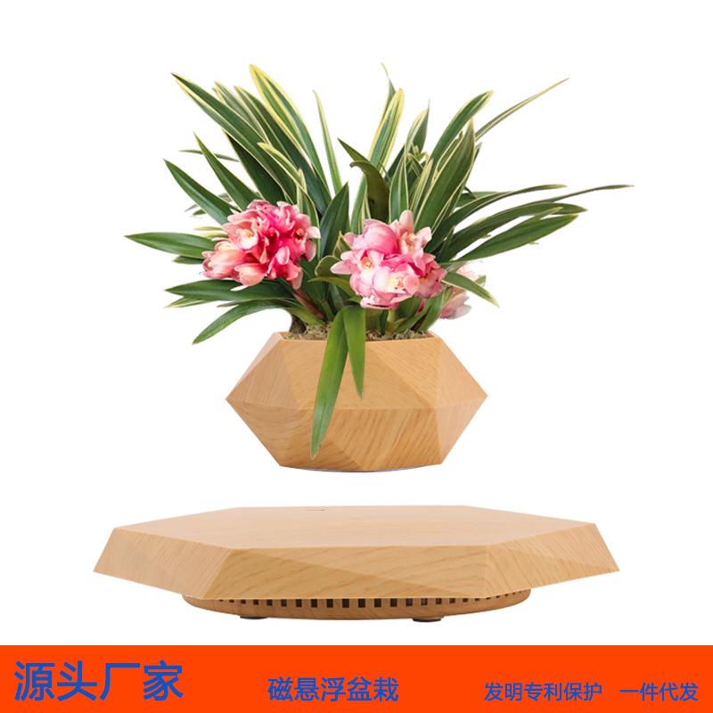 Creative Magnetic Levitation Potted Bonsai Plants
