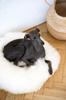 Round Natural Sheepskin Pet Bed - White 70 cm