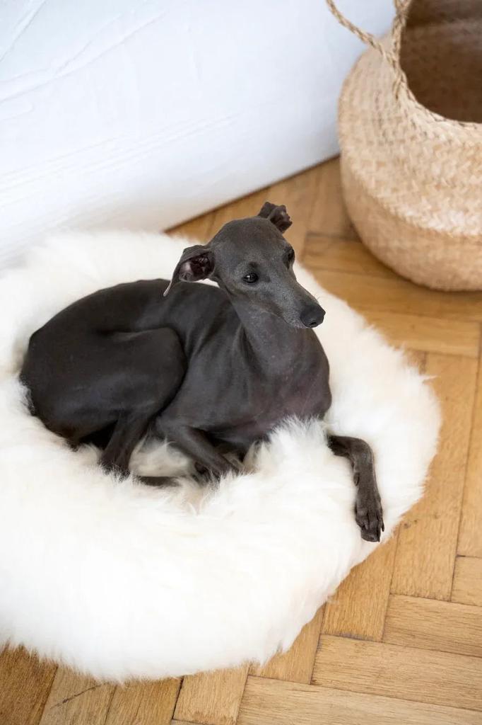 Round Natural Sheepskin Pet Bed - White 100 cm