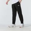 Puma Классический мужской спортивный костюм