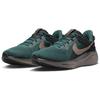 Nike Кроссовки Air Zoom Pegasus 41 Sp Faded Spruce HQ6025-300
