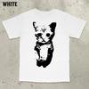 Cute Kitten Graphic Cat Funny Cat Meme Shirt Stupid Meme Shirt Cursed Cat Gen Z Meme Cringe TShirt Unisex Clothing comfortable