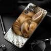 Чехол для телефона Samsung Galaxy S26 S25 S24 S23 S22 S21 Ultra S24 S23 S22 S21 S25 Plus S24 FE Кролик Животное
