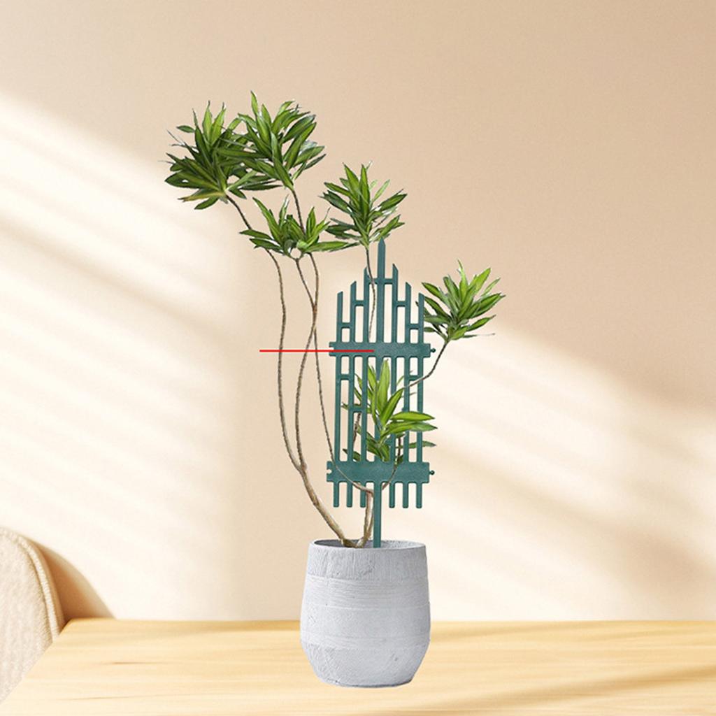 Indoor Plant Trellis Plastic Support Convenient Indoor Plant Trellis Helps Climbing Flowers Grow Strong And Healthy