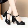 Fashion Waterproof Platform High Heel Round-Head Summer Model Training Special Catwalk Work Single Shoes Elegant Simple Black Autumn