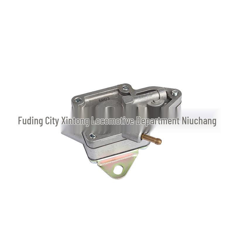 Cross-Country 400 ATV Scooter Fuel Pump: Forest Sea 300/Beach Car ATV260 Compatible