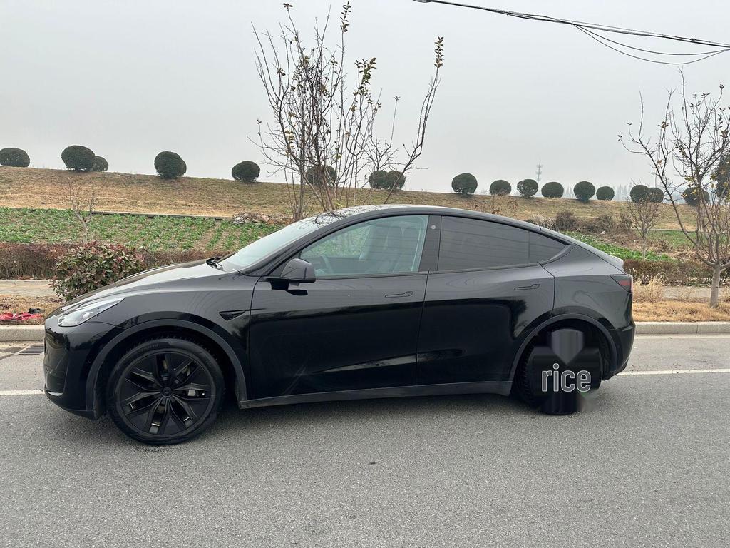 19-дюймовый декоративный колпак для колес Tesla Model Y (2021-2024 гг.) - Полная защита