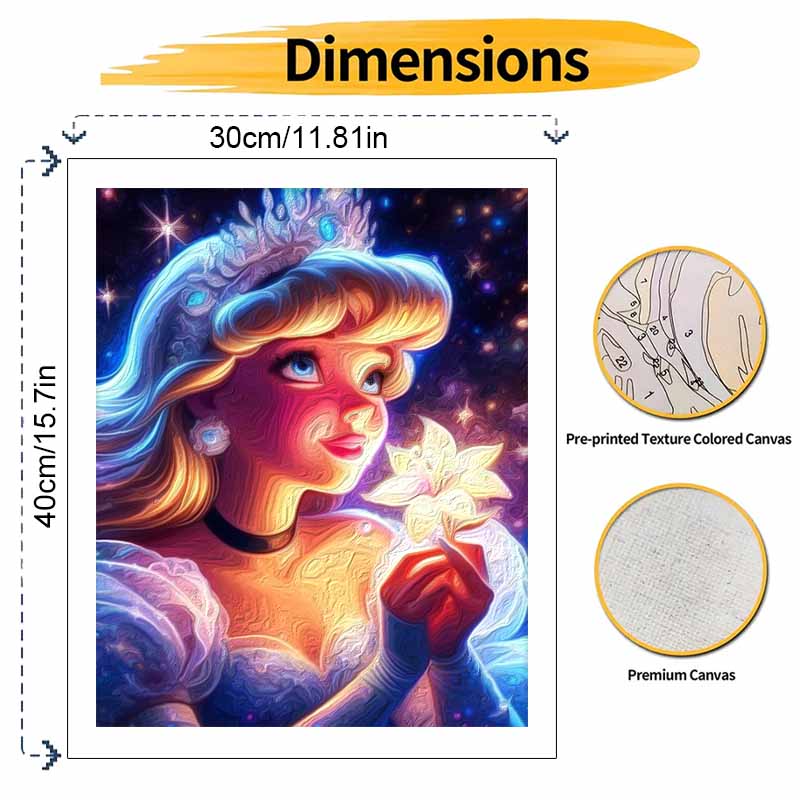 Disney animation digital oil painting Cinderella flower diy handpainted coloring painting home decoration,sparkling starry night