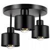 Ceiling Lights Modern Lighting Fixtures, Lampshades, Corridor Lighting Fixtures Suitable for Foyer Bedrooms