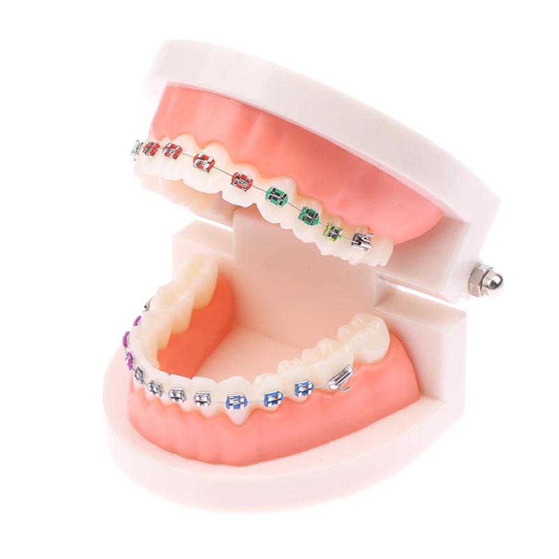 Azdent Dental Model Training Typodont Teeth Model For Dental Technician Practice Teaching Gum Teeth Jaw Model Resin Lab Tools