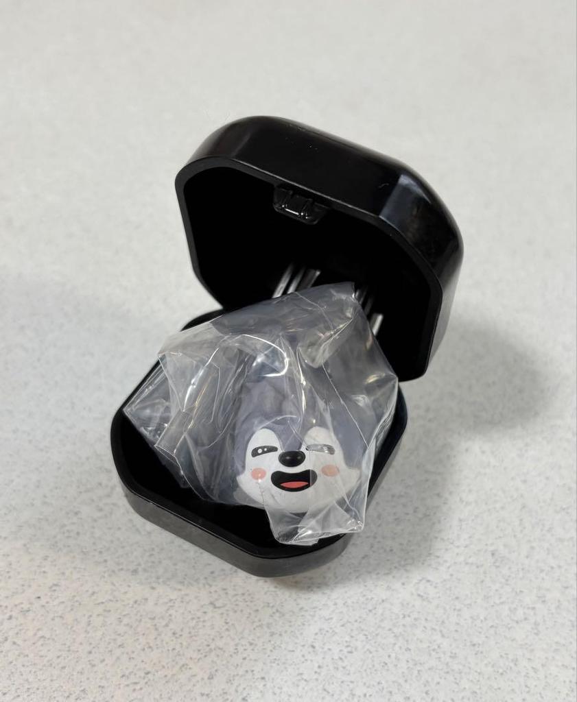 [Б/У] Набор из 4 колец Stray Kids SKZOO Pukutto